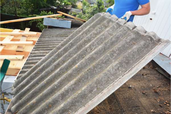 Professional Asbestos Services